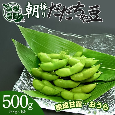 富樫農園の朝採りだだちゃ豆【8月下旬発送】500g 晩生甘露・おうら [K-812]