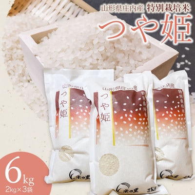 【令和5年産】米の里の特別栽培米つや姫6kg　A05-002