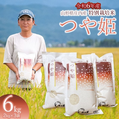 【令和6年産】米の里の特別栽培米つや姫6kg　A06-003