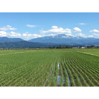 【令和6年産】米の里の2合お米セット9種類　A06-006