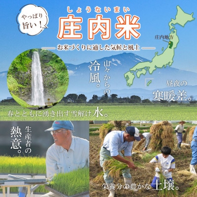 令和6年産 山形県 庄内産 ひとめぼれ 無洗米 精米　5kg
