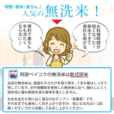令和6年産 山形県 庄内産 ひとめぼれ 無洗米 精米　5kg