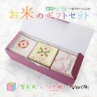 真空キューブ米 詰め合わせ 300g(2合)×3個 山形県産 つや姫/雪若丸/ひとめぼれ