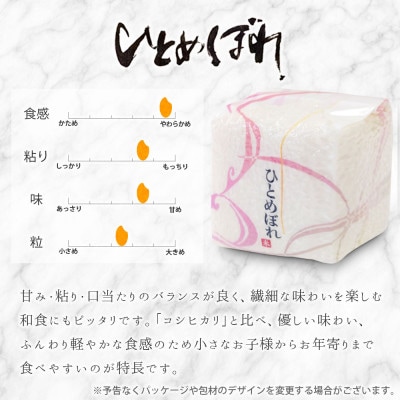 真空キューブ米 詰め合わせ 300g(2合)×3個 山形県産 つや姫/雪若丸/ひとめぼれ
