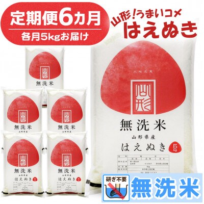 【毎月定期便】山形県産 はえぬき 無洗米 計30kg (5kg×6回)全6回