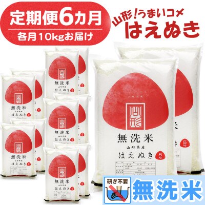 【毎月定期便】山形県産 はえぬき 無洗米 計60kg (10kg×6回) 全6回
