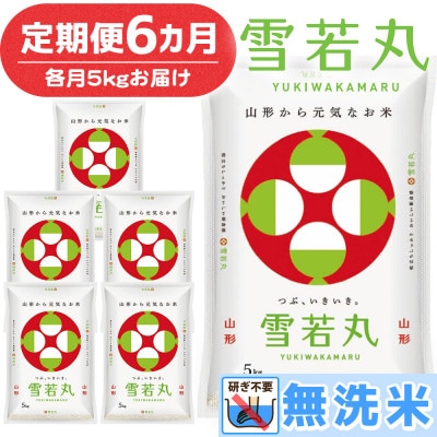 【毎月定期便】山形県産 雪若丸 無洗米 計30kg (5kg×6回) 全6回