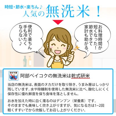 【毎月定期便】山形県産 雪若丸 無洗米 計60kg (10kg×6回)全6回