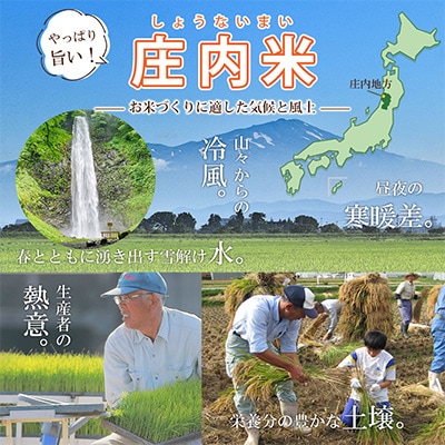 2023年10月発送開始『定期便』山形県産 つや姫 無洗米 計60kg (10kg×6回)全6回