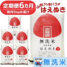 2023年9月発送開始『定期便』山形県産 はえぬき 無洗米 計30kg (5kg×6回)全6回