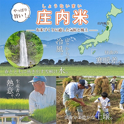 2023年4月発送開始『定期便』山形県産 つや姫 無洗米 計30kg (5kg×6回)全6回