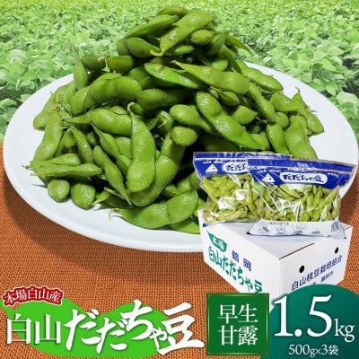 【令和6年先行受付】本場白山産　農家長四郎の白山だだちゃ豆《早生甘露》1.5kg (500g×3袋)