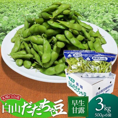 【令和6年先行受付】本場白山産　農家 長四郎の白山だだちゃ豆 《早生甘露》3kg (500g×6袋)