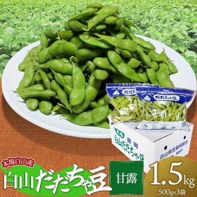 【令和6年先行受付】本場白山産　農家 長四郎の白山だだちゃ豆《甘露》1.5kg (500g×3袋)
