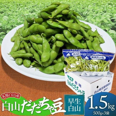 【令和6年先行受付】本場白山産　農家 長四白山だだちゃ豆　《早生白山》1.5kg (500g×3袋)