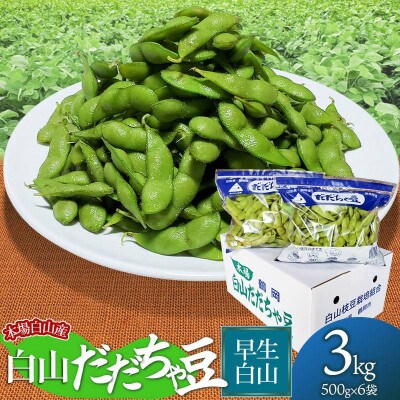 【令和6年先行受付】本場白山産　農家 長四郎の白山だだちゃ豆《早生白山》3kg (500g×6袋)