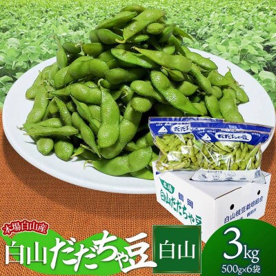 【令和6年先行受付】本場白山産　農家 長四郎の白山だだちゃ豆《白山》3kg (500g×6袋)