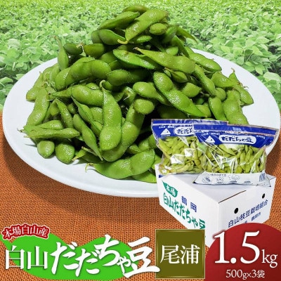 【令和7年先行受付】本場白山産　農家 長四郎の白山だだちゃ豆《尾浦》1.5kg (500g×3袋)