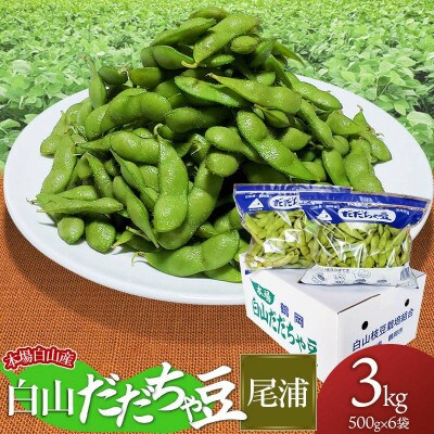 【令和6年先行受付】本場白山産　農家 長四郎の白山だだちゃ豆《尾浦》3kg (500g×6袋)