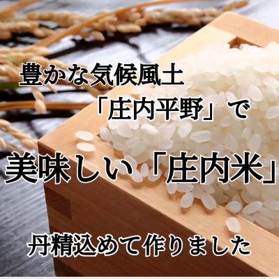 令和8年産先行受付　山形県鶴岡市『はえぬき (庄内米)』　精米　5kg