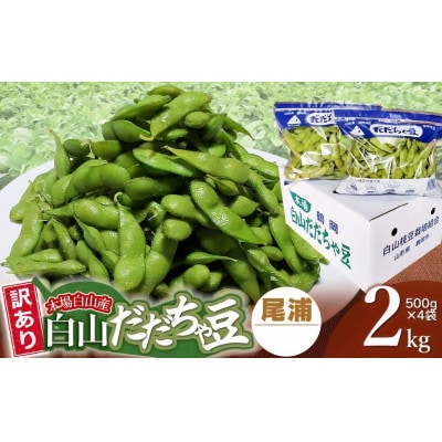 【令和8年先行受付】訳あり　本場白山産　白山だだちゃ豆《尾浦》2kg (500g×4袋)