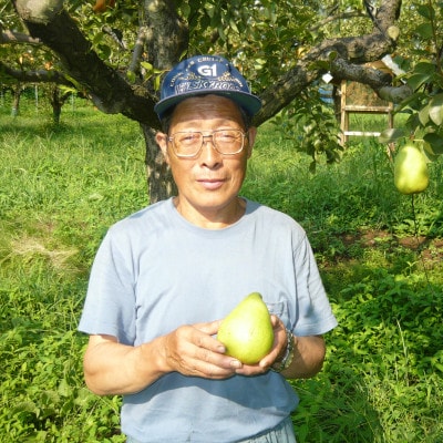 大玉洋梨　マルゲリット・マリーラ　3kg