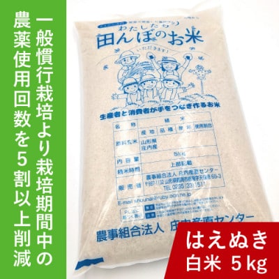 令和7年鶴岡産 はえぬき 白米 5kg