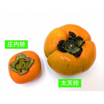 太天柿2kg