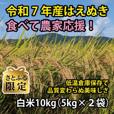 【さとふる限定】令和7年鶴岡産 はえぬき 白米 10kg