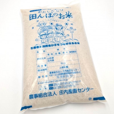 【さとふる限定】令和7年鶴岡産 はえぬき 白米 10kg