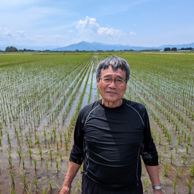 【さとふる限定】令和7年鶴岡産 ひとめぼれ 白米 10kg
