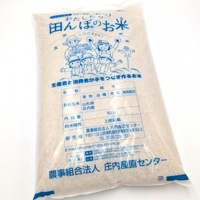 【さとふる限定】令和7年鶴岡産 ひとめぼれ 白米 10kg