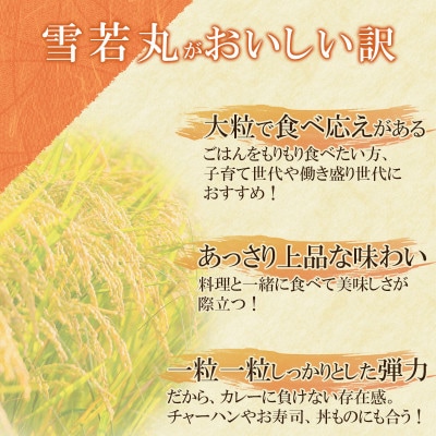 山形県 庄内産 雪若丸 パックライス 180g × 24個 電子レンジで温めるだけ　無菌パックごはん