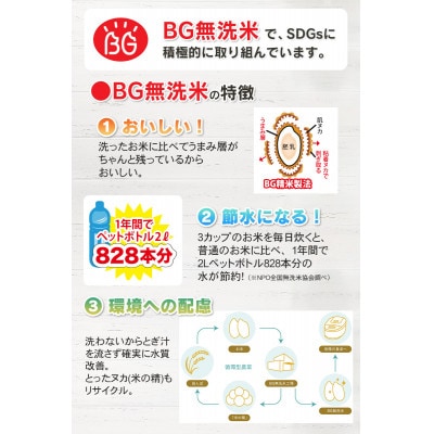 令和4年産 山形県 庄内産 はえぬき BG無洗米 10kg(5kg×2袋) そのまま炊ける