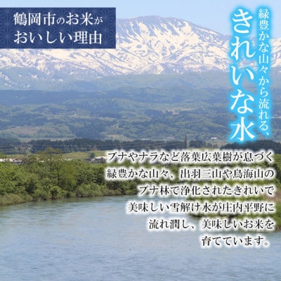 令和4年産 山形県 庄内産 はえぬき BG無洗米 10kg(5kg×2袋) そのまま炊ける