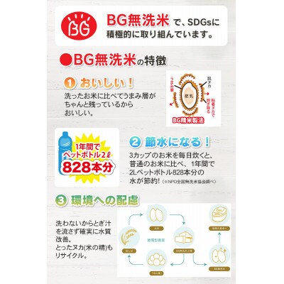 令和4年産 山形県 庄内産 特別栽培米 つや姫 BG無洗米 10kg(5kg×2袋) そのまま炊ける