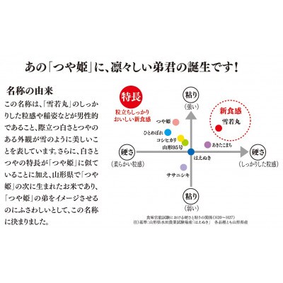 令和4年産 山形県 庄内産 雪若丸 BG無洗米 10kg(5kg×2袋) そのまま炊ける
