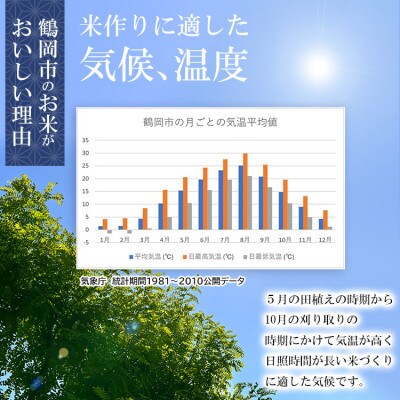 令和4年産 山形県 庄内産 雪若丸 BG無洗米 10kg(5kg×2袋) そのまま炊ける