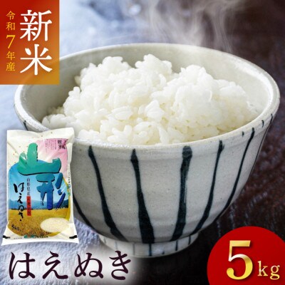 令和7年産はえぬき　精米　5kg×1袋