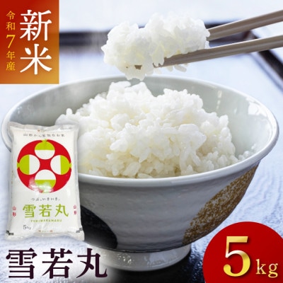 令和7年産雪若丸　精米　5kg×1袋