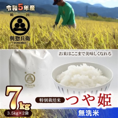 「神農家」が作った特別栽培米つや姫　無洗米　7kg(3.5kg×2袋)A05-022