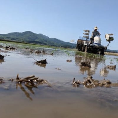 【令和7年産米】「神農家」が作った特別栽培米 雪若丸 無洗米 4kg(2kg×2袋)[K-743]