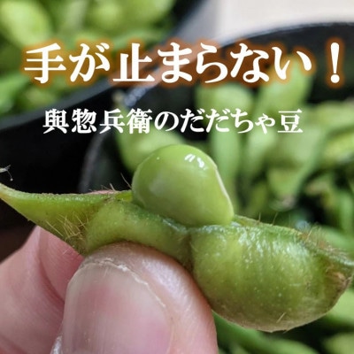 【令和8年産】一番採れ!神の枝豆と呼ばれた與惣兵衛の【初物だだちゃ豆】1kg[K-831]