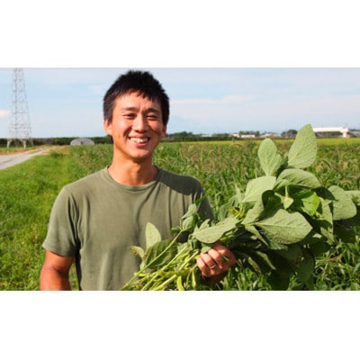 【令和8年産】神の枝豆と呼ばれた與惣兵衛の特選・極上だだちゃ豆1.2kg【桐箱入】[K-890]