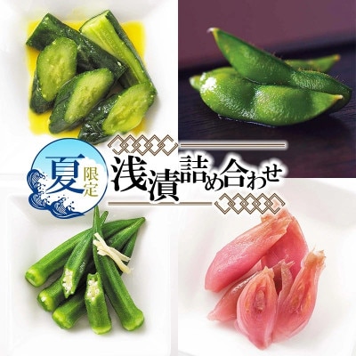 夏限定!浅漬詰め合わせ[K-723]