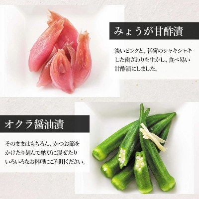 夏限定!浅漬詰め合わせ[K-723]