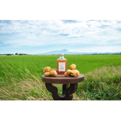 Yamagata craft ginger YATAGINGER 450mlパウチ 1本