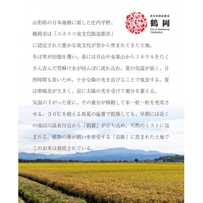 【令和5年産】 荘内藩つや姫4kg