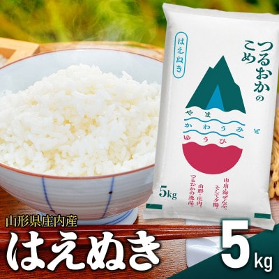 山形県庄内産 令和7年産 特別栽培米 はえぬき 精米 5kg
