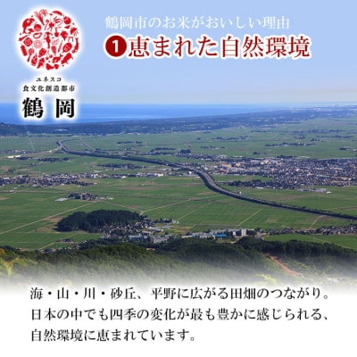 山形県庄内産 はえぬき 精米 5kg